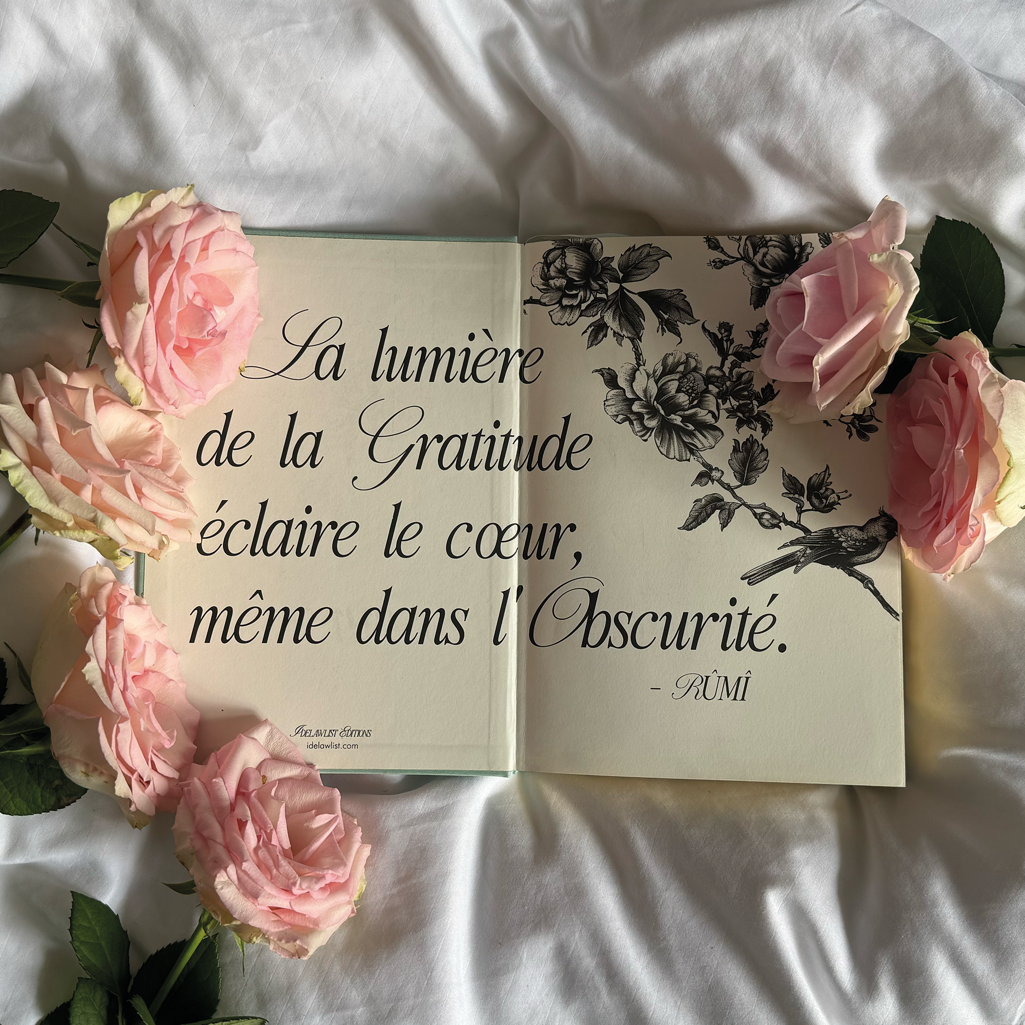 LE JOURNAL | L'ENSEMBLE TRIO